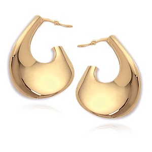 Earrings by Carla Corporation